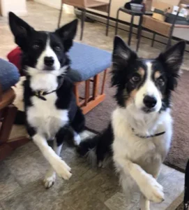 Trella and Nell channeling the Rockettes